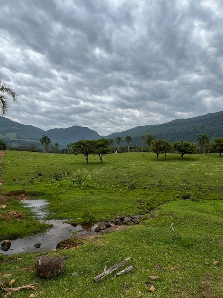 TERRENO LOCALIZADO NO ITATI: 4ª foto da galeria de imagens do imóvel
