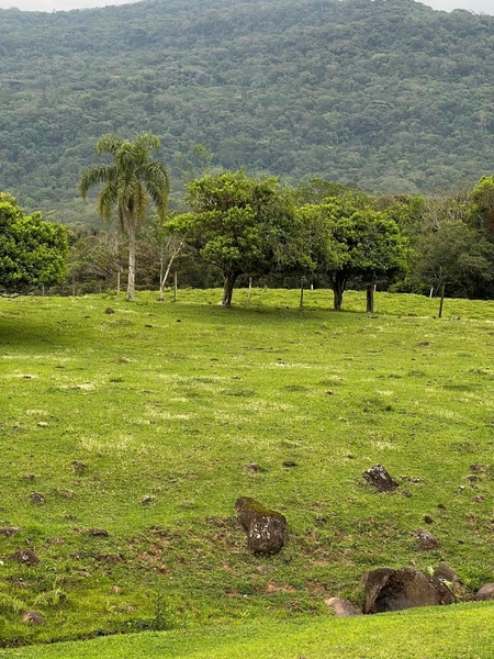 TERRENO LOCALIZADO NO ITATI: 1ª foto da galeria de imagens do imóvel