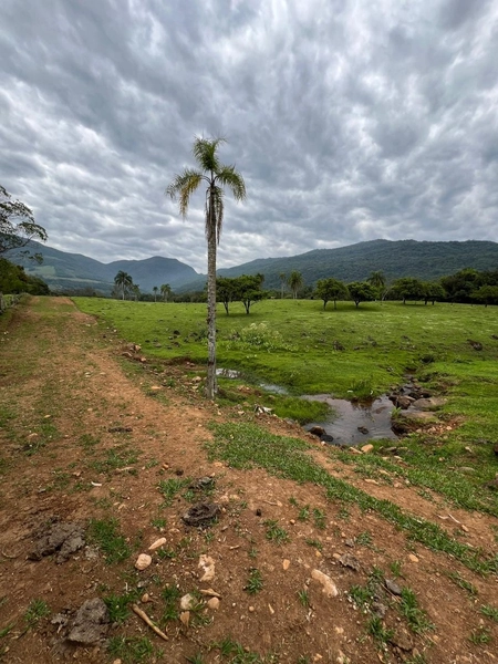 TERRENO LOCALIZADO NO ITATI: 5ª foto da galeria de imagens do imóvel