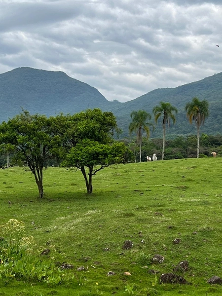TERRENO LOCALIZADO NO ITATI: 3ª foto da galeria de imagens do imóvel