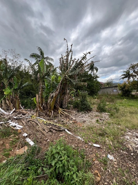TERRENO NO ITATI: 4ª foto da galeria de imagens do imóvel