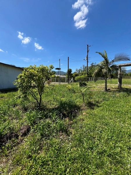 TERRENO  EM TRÊS PINHEIROS: 8ª foto da galeria de imagens do imóvel