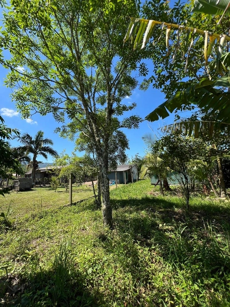 TERRENO  EM TRÊS PINHEIROS: 9ª foto da galeria de imagens do imóvel
