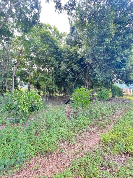 TERRENO EM ITATI: 2ª foto da galeria de imagens do imóvel