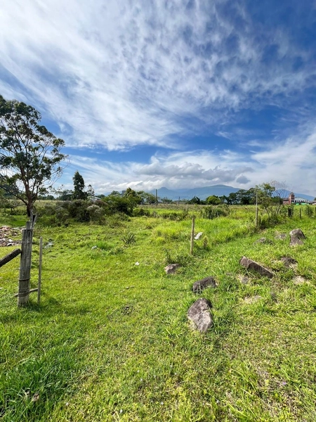 TERRENO EM TERRA DE AREIA: 2ª foto da galeria de imagens do imóvel