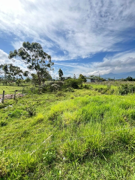 TERRENO EM TERRA DE AREIA: 3ª foto da galeria de imagens do imóvel