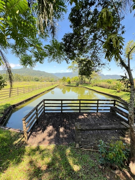 CHÁCARA EM TRÊS FORQUILHAS: 19ª foto da galeria de imagens do imóvel