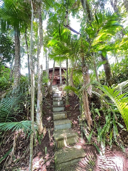 CHÁCARA EM TRÊS FORQUILHAS: 15ª foto da galeria de imagens do imóvel