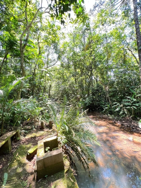 CHÁCARA EM TRÊS FORQUILHAS: 18ª foto da galeria de imagens do imóvel