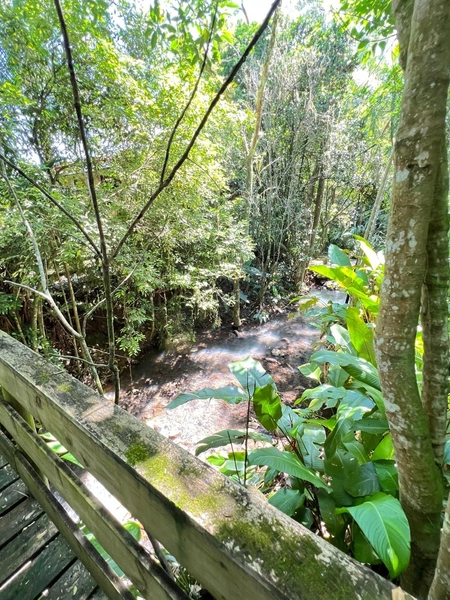 CHÁCARA EM TRÊS FORQUILHAS: 16ª foto da galeria de imagens do imóvel