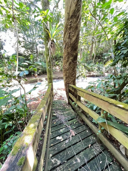 CHÁCARA EM TRÊS FORQUILHAS: 17ª foto da galeria de imagens do imóvel