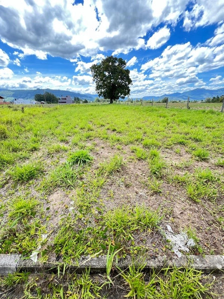 TERRENO NO CONDADO  IPIRANGA: 3ª foto da galeria de imagens do imóvel