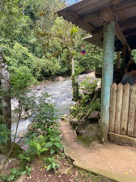 SÍTIO A VENDA EM TRÊS FORQUILHAS: 16ª foto da galeria de imagens do imóvel