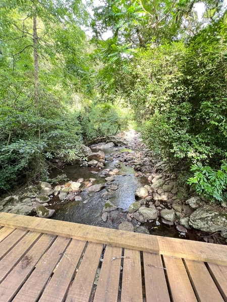 SÍTIO A VENDA EM TRÊS FORQUILHAS: 3ª foto da galeria de imagens do imóvel