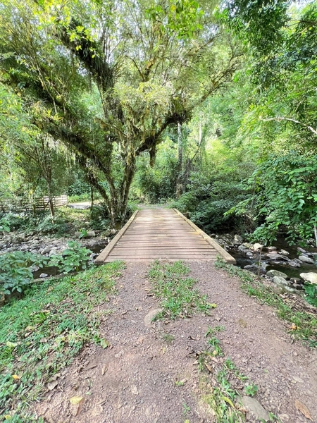 SÍTIO A VENDA EM TRÊS FORQUILHAS: 2ª foto da galeria de imagens do imóvel