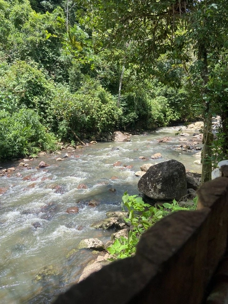 SÍTIO A VENDA EM TRÊS FORQUILHAS: 17ª foto da galeria de imagens do imóvel