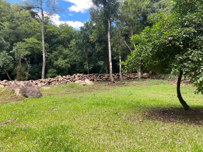 SÍTIO A VENDA EM TRÊS FORQUILHAS: 18ª foto da galeria de imagens do imóvel