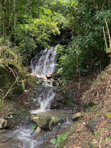 SÍTIO A VENDA EM TRÊS FORQUILHAS: 19ª foto da galeria de imagens do imóvel