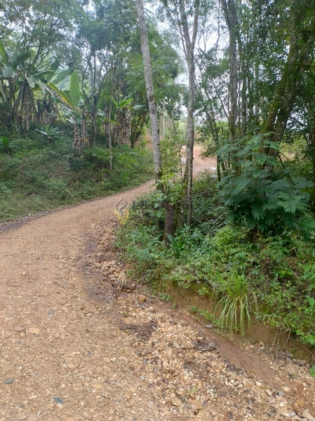 CHACARA RIO BRANCO DO SUL: 4ª foto da galeria de imagens do imóvel