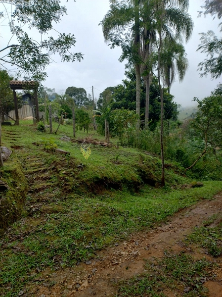 CHACARA RIO BRANCO DO SUL: 15ª foto da galeria de imagens do imóvel
