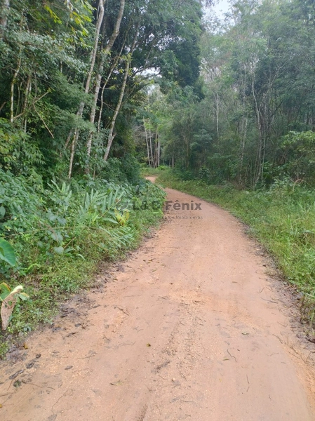 CHACARA RIO BRANCO DO SUL: 11ª foto da galeria de imagens do imóvel