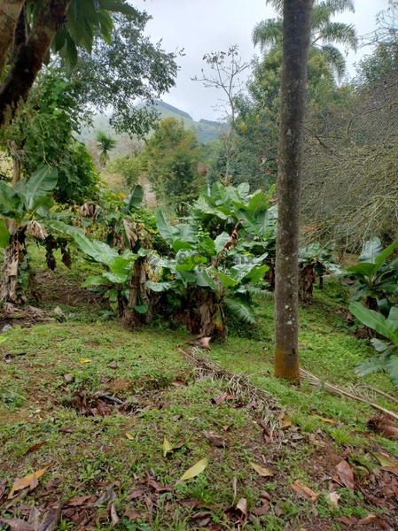 CHACARA RIO BRANCO DO SUL: 20ª foto da galeria de imagens do imóvel
