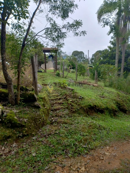 CHACARA RIO BRANCO DO SUL: 14ª foto da galeria de imagens do imóvel