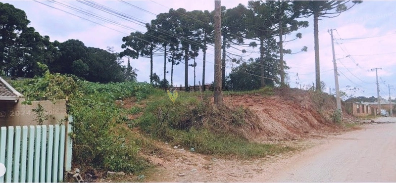 Terreno à Venda – Oportunidade Imperdível para Construtoras!: 7ª foto da galeria de imagens do imóvel
