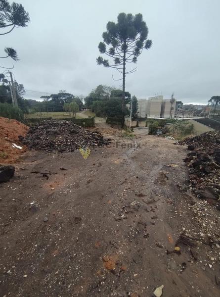 Terreno à Venda – Oportunidade Imperdível para Construtoras!: 3ª foto da galeria de imagens do imóvel