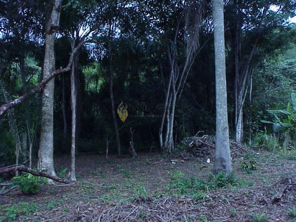 CHACARA EM ANTONINA: 12ª foto da galeria de imagens do imóvel