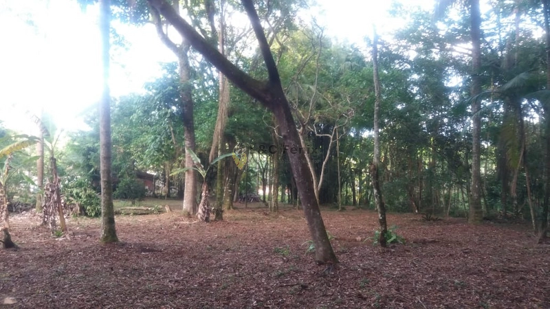 CHACARA EM ANTONINA: 7ª foto da galeria de imagens do imóvel