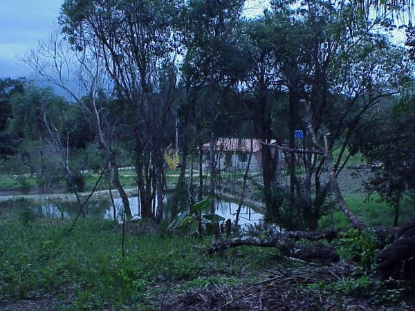 CHACARA EM ANTONINA: 6ª foto da galeria de imagens do imóvel