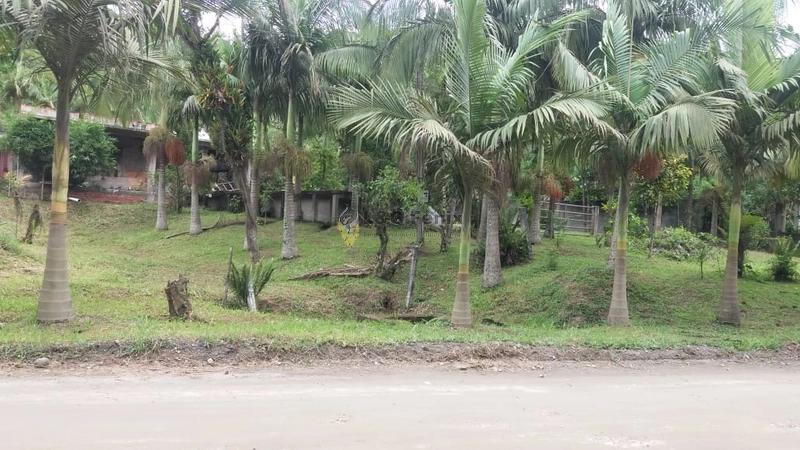 CHACARA EM ANTONINA: 5ª foto da galeria de imagens do imóvel