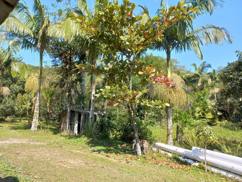 CHACARA EM ANTONINA: 1ª foto da galeria de imagens do imóvel