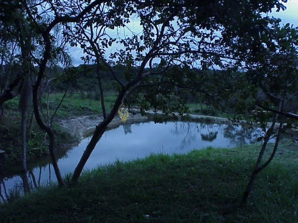 CHACARA EM ANTONINA: 16ª foto da galeria de imagens do imóvel