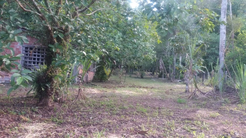 CHACARA EM ANTONINA: 3ª foto da galeria de imagens do imóvel