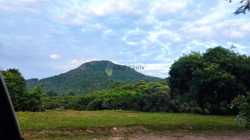 CHACARA EM CAMPO LARGO: 14ª foto da galeria de imagens do imóvel