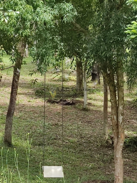 CHACARA EM CAMPO LARGO: 11ª foto da galeria de imagens do imóvel