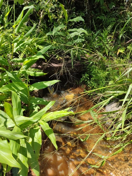 SÍTIO  A VENDA: 10ª foto da galeria de imagens do imóvel