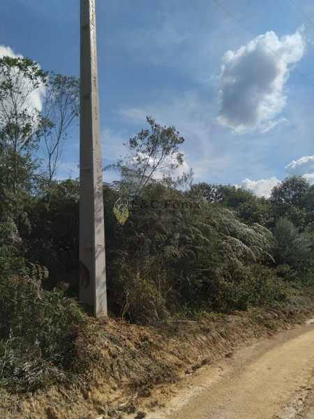 SÍTIO  A VENDA: 6ª foto da galeria de imagens do imóvel