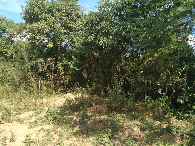 SÍTIO  A VENDA: 5ª foto da galeria de imagens do imóvel