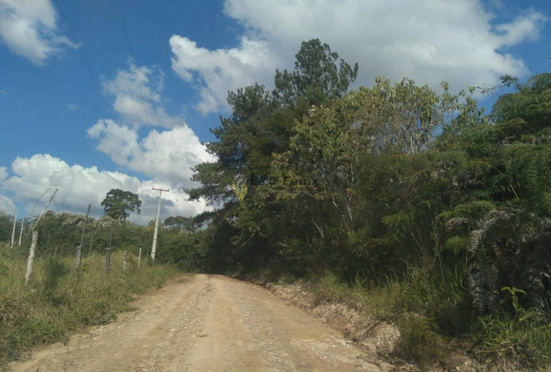 SÍTIO  A VENDA: 8ª foto da galeria de imagens do imóvel