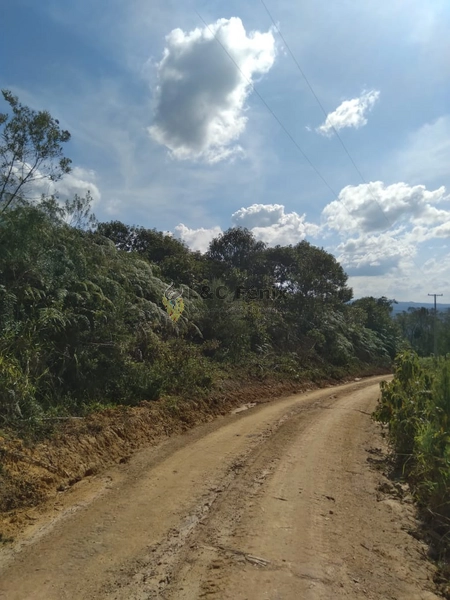 SÍTIO  A VENDA: 4ª foto da galeria de imagens do imóvel