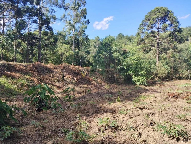 CHACARA LAPA/PR: 5ª foto da galeria de imagens do imóvel