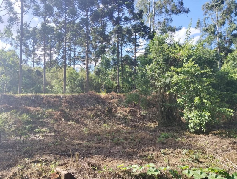 CHACARA LAPA/PR: 6ª foto da galeria de imagens do imóvel