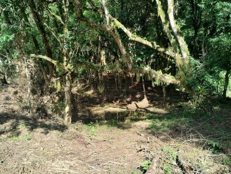 CHACARA LAPA/PR: 2ª foto da galeria de imagens do imóvel