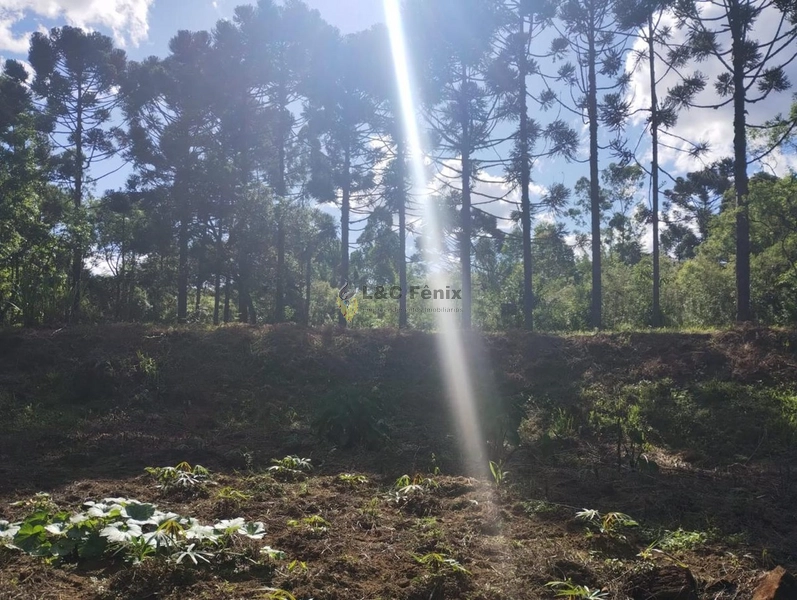 CHACARA LAPA/PR: 7ª foto da galeria de imagens do imóvel