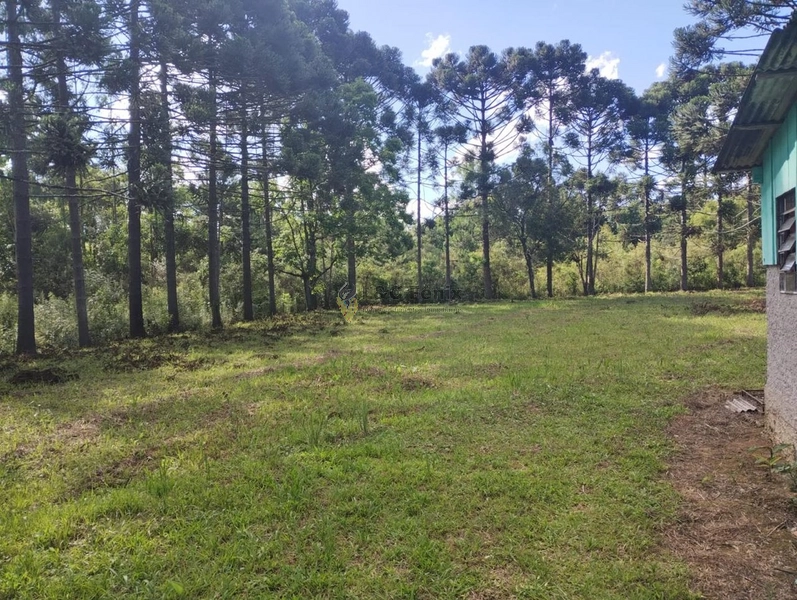 CHACARA LAPA/PR: 10ª foto da galeria de imagens do imóvel