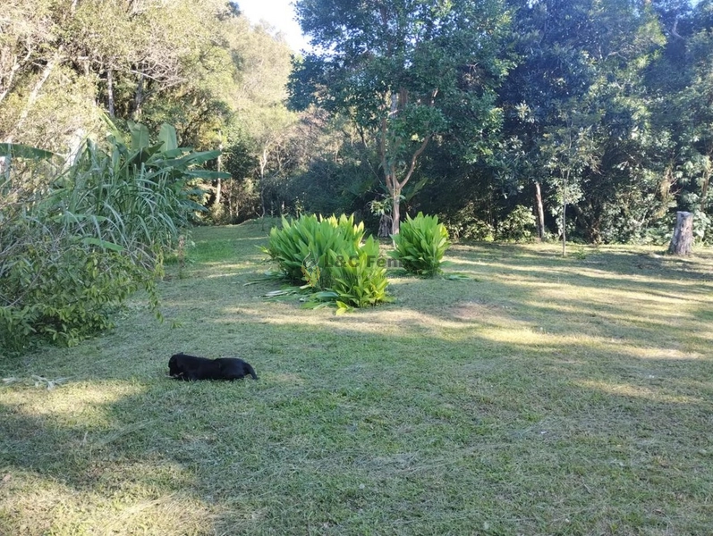 CHACARA LAPA/PR: 4ª foto da galeria de imagens do imóvel