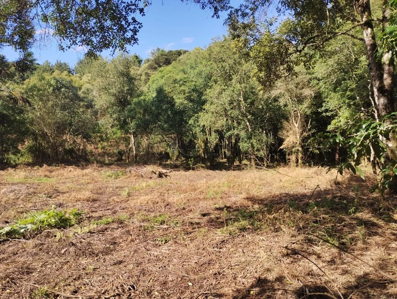 CHACARA LAPA/PR: 3ª foto da galeria de imagens do imóvel